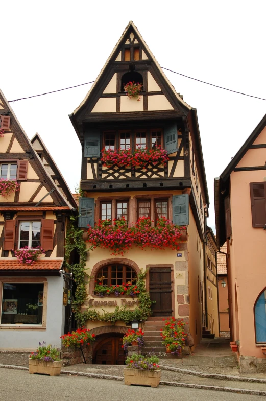 an assortment of houses with potted flowers on their windows