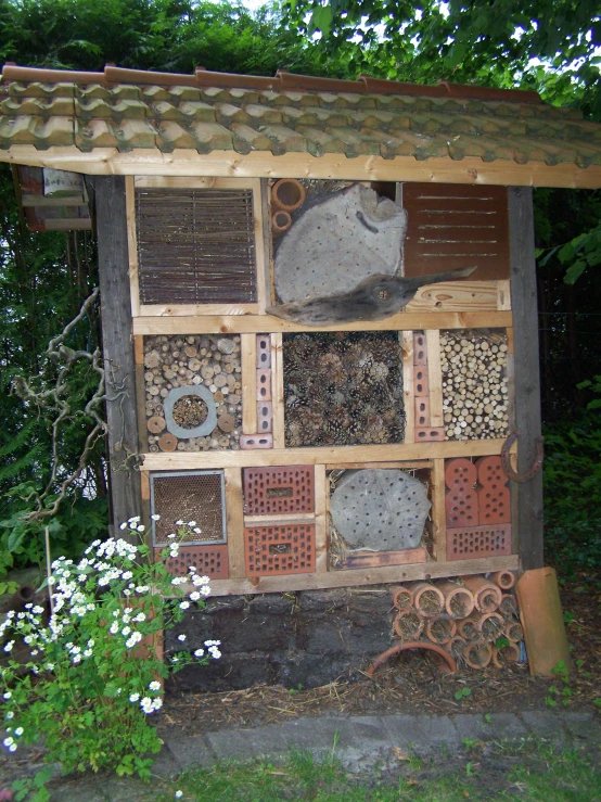 bee boxes on a small house in the middle of the woods