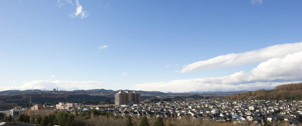 this is a view of a city with houses and trees