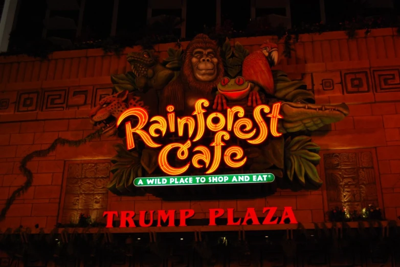 a night view of a building with a large neon sign and the words rainforest cafe