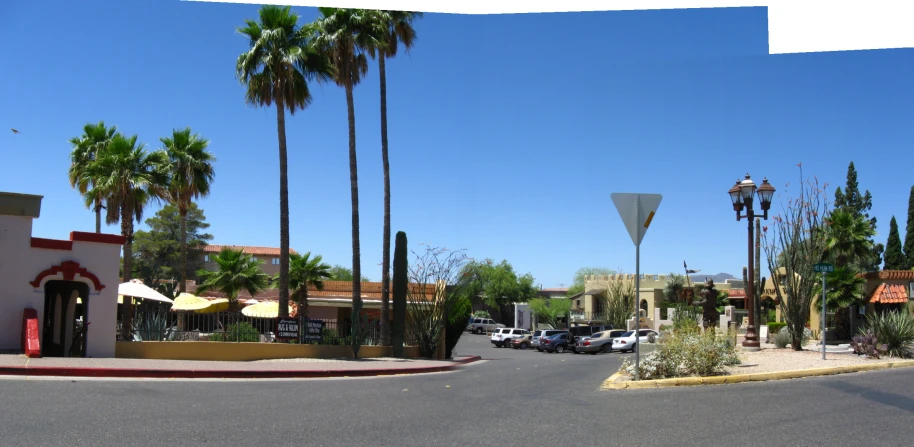 an intersection with palm trees and a street light