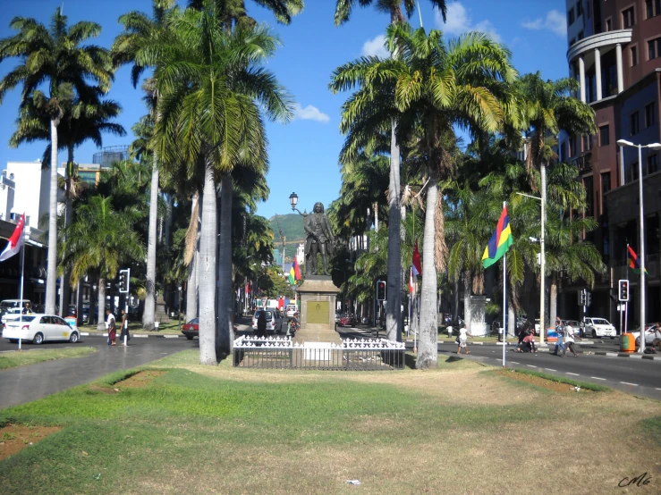 a bunch of palm trees in the middle of the city