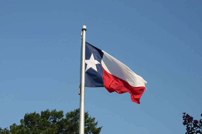 a texas flag waving in the wind