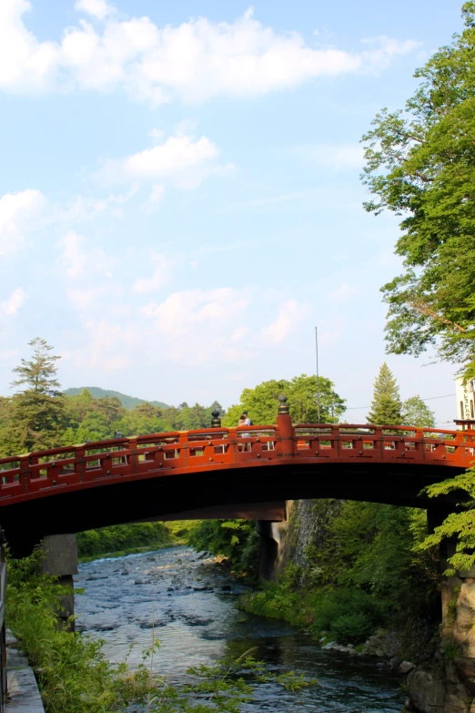 a bridge over a small river with lush green trees