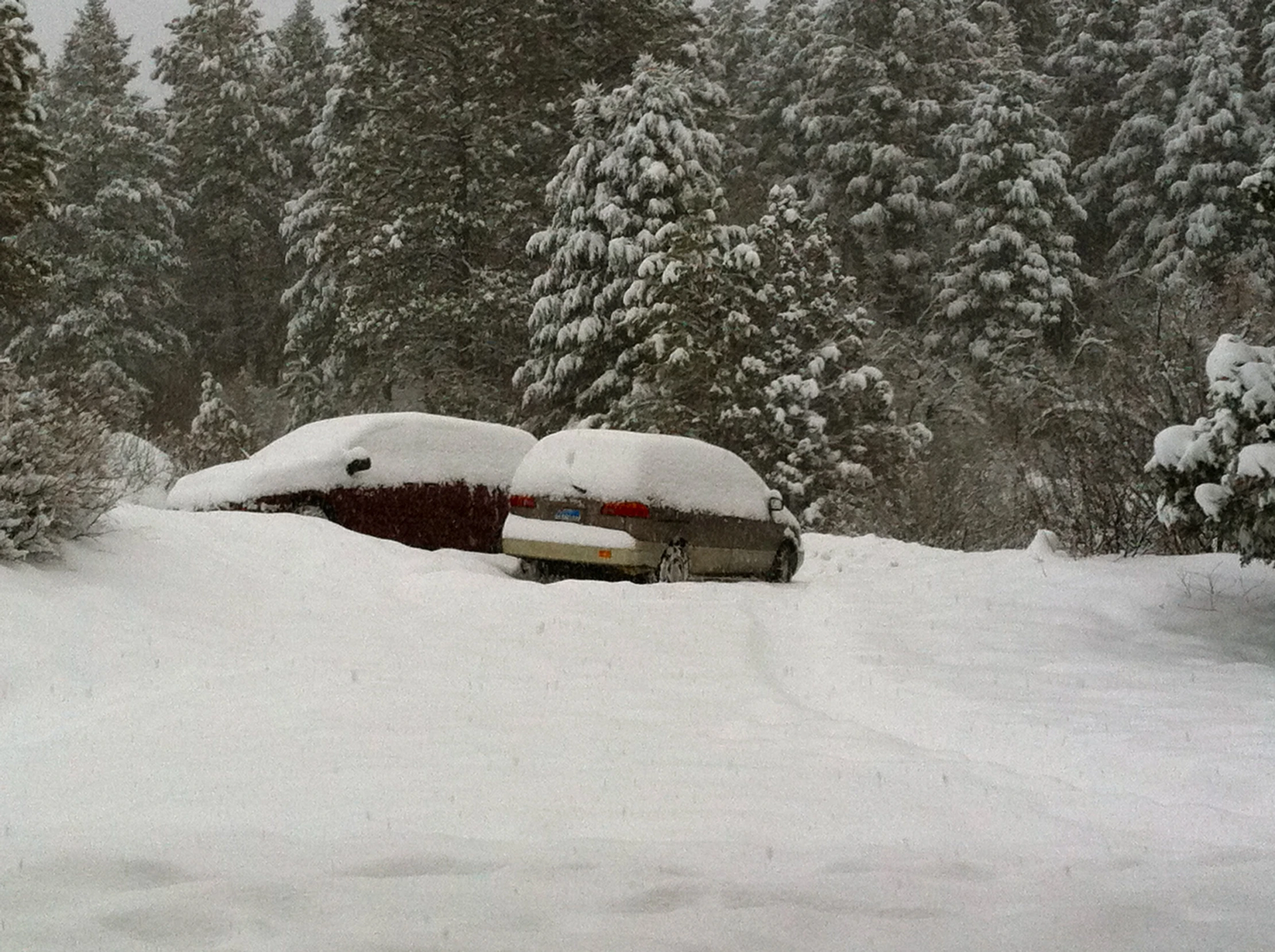 a car is covered by snow in a forest