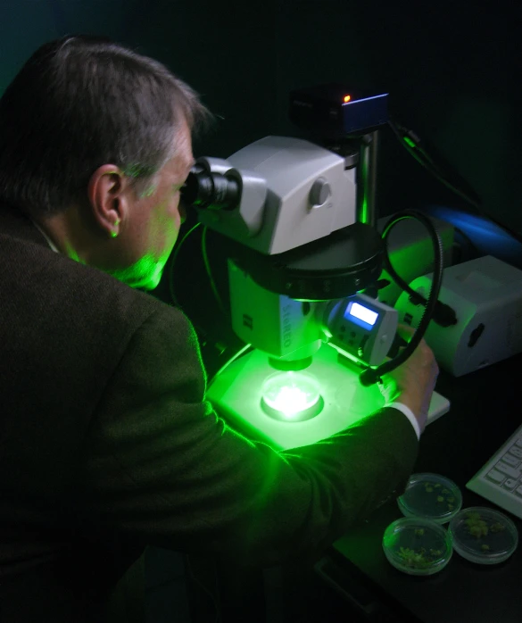 man observing soing in green light with an illuminated object