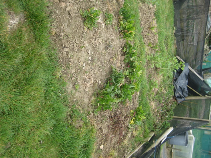 a picture of a very small area that looks to be used as a boathouse