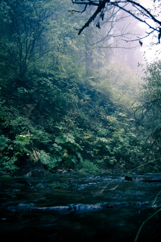 a large waterfall in the middle of a forest