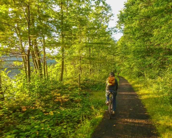 a person riding a bike on a trail through the woods