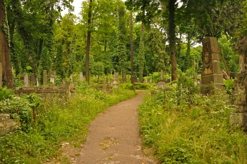 an old cemetery with a very old grave yard and trees
