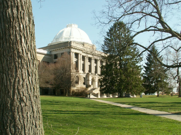 a building in the middle of a park with a tree