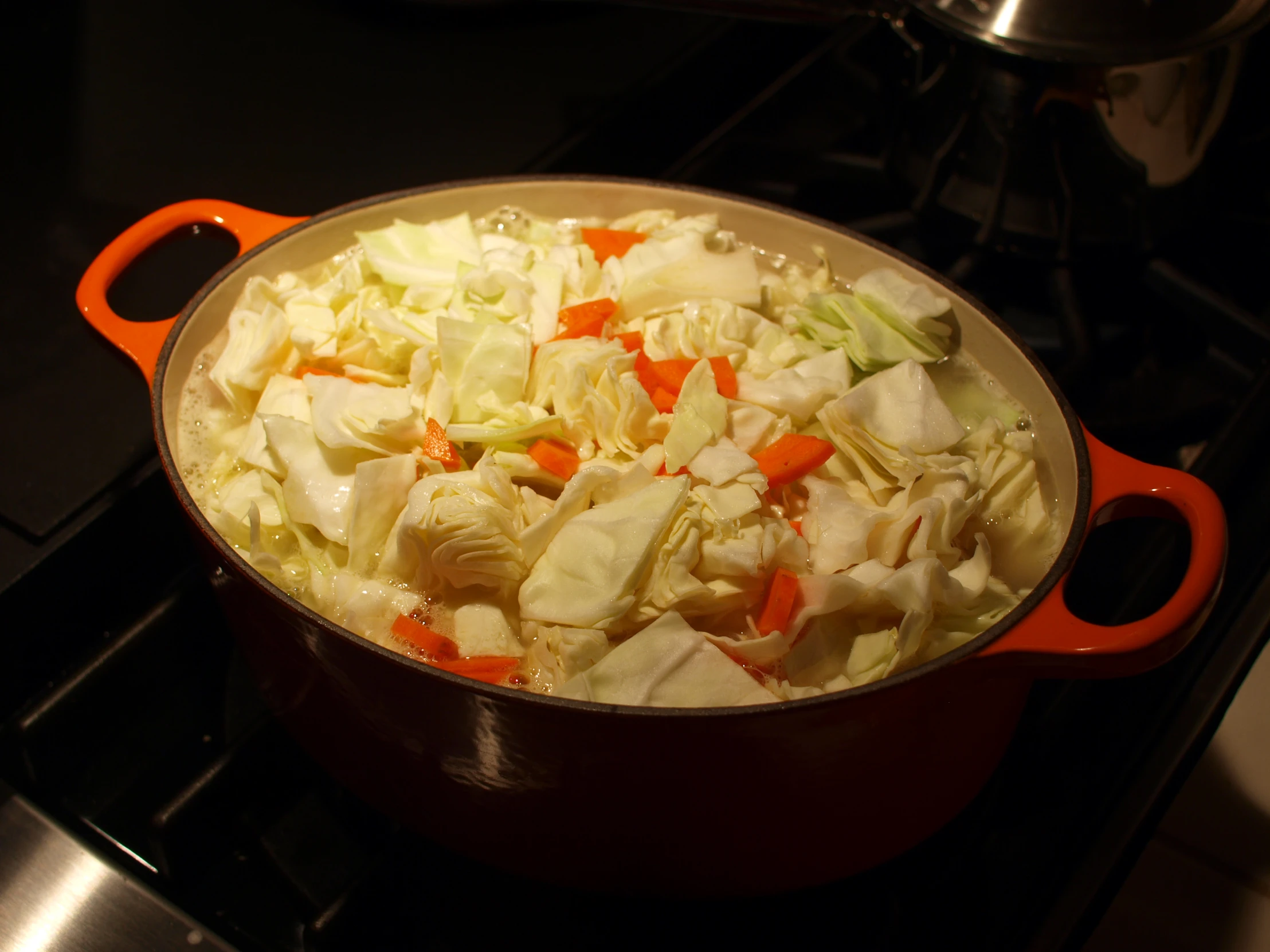 a pot of cabbage and carrots on the stove