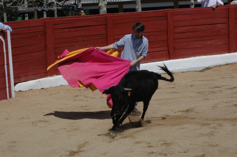 a man tries to keep his animal in the arena