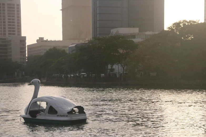 a swan boat floating on a large body of water