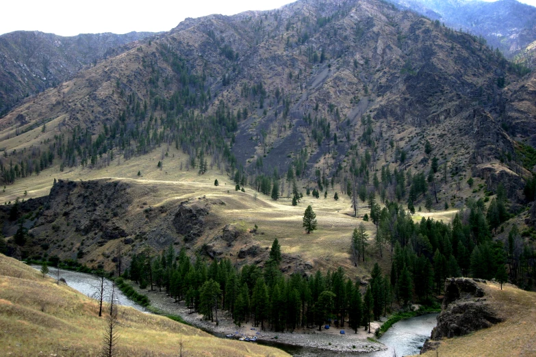 a mountain valley with trees and a creek running through it