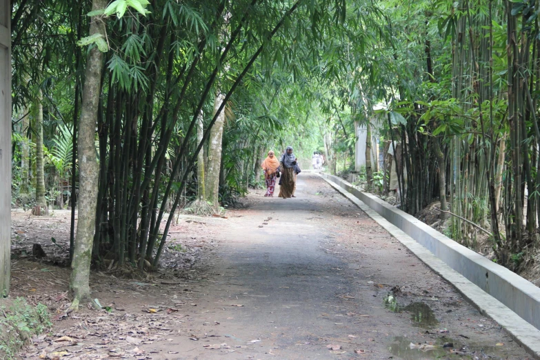 two people riding bicycles down a leafy road