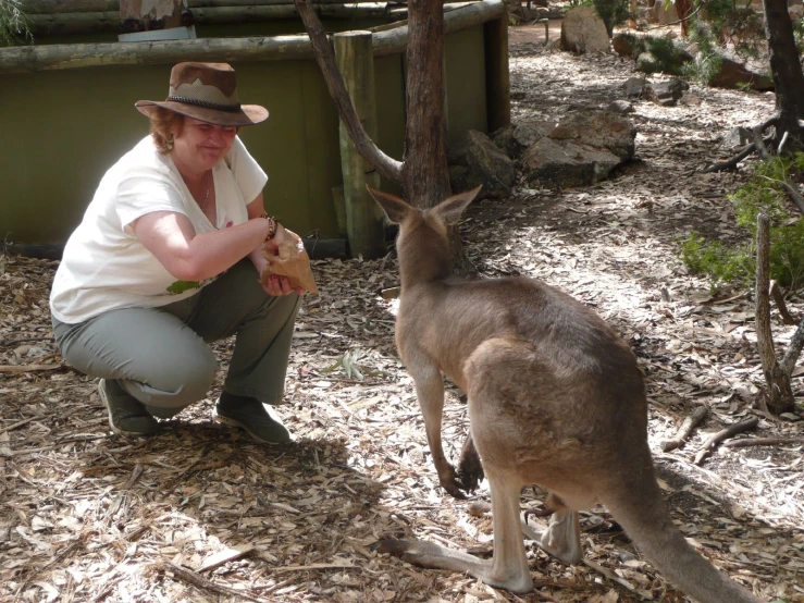 a man that is sitting next to a small kangaroo