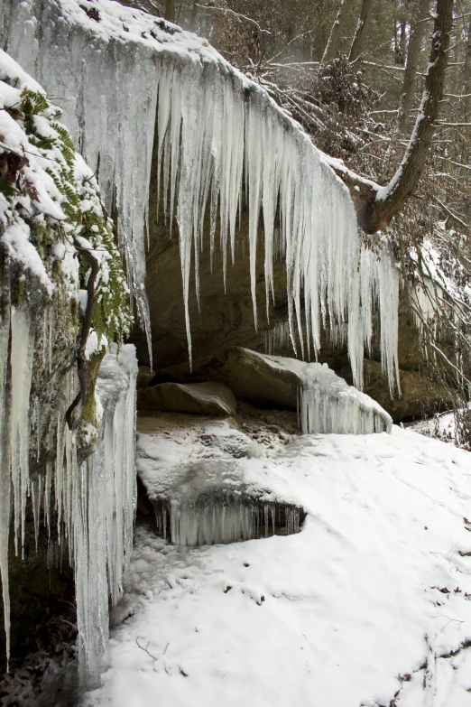 snow covered rocks, water and ice hanging off the side of them