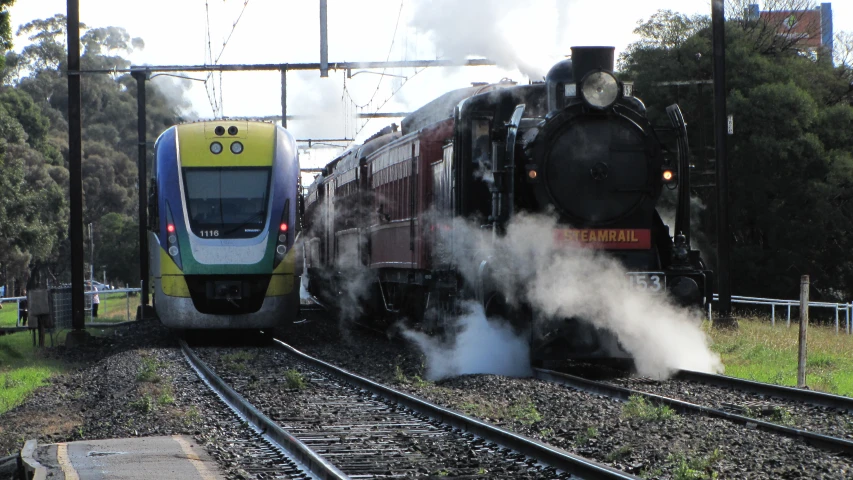 a train traveling down tracks near a forest