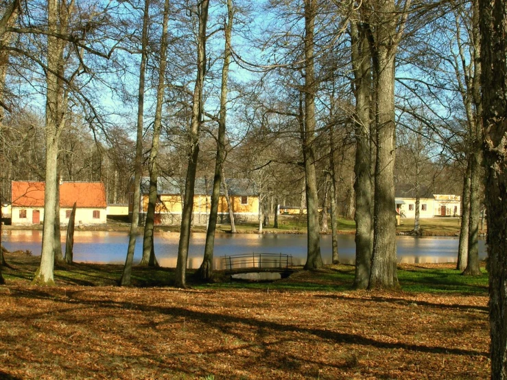 a bench on the shore near water in a wooded area