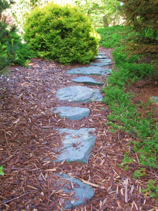 stone path in the park surrounded by trees and bushes