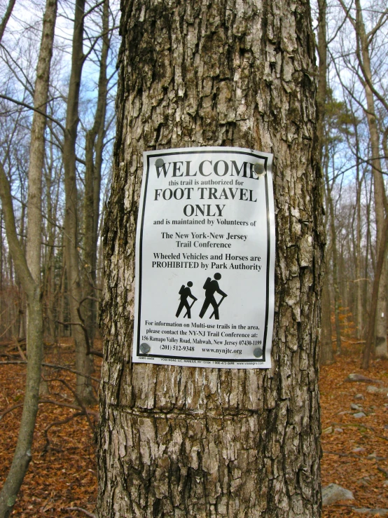 sign posted on a tree indicating a trail is safe for everyone