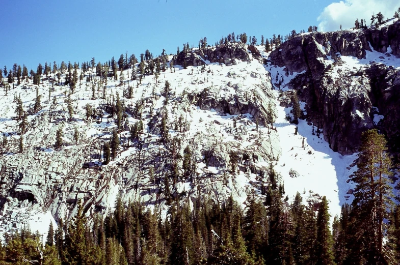 a very steep snowy mountain with trees and snow on it