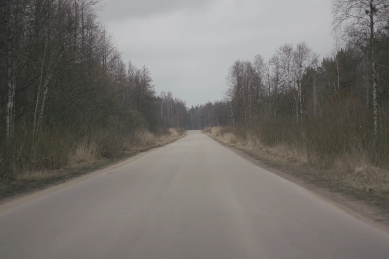 an empty street with a few trees on either side of the road