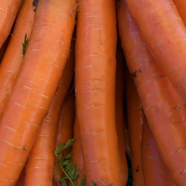 a pile of raw carrots sitting on top of a wooden table