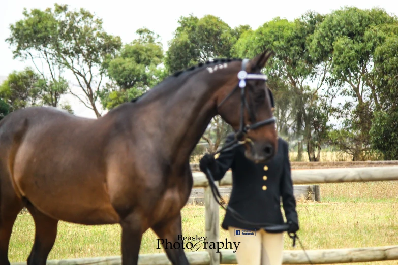 woman in uniform standing in front of a horse