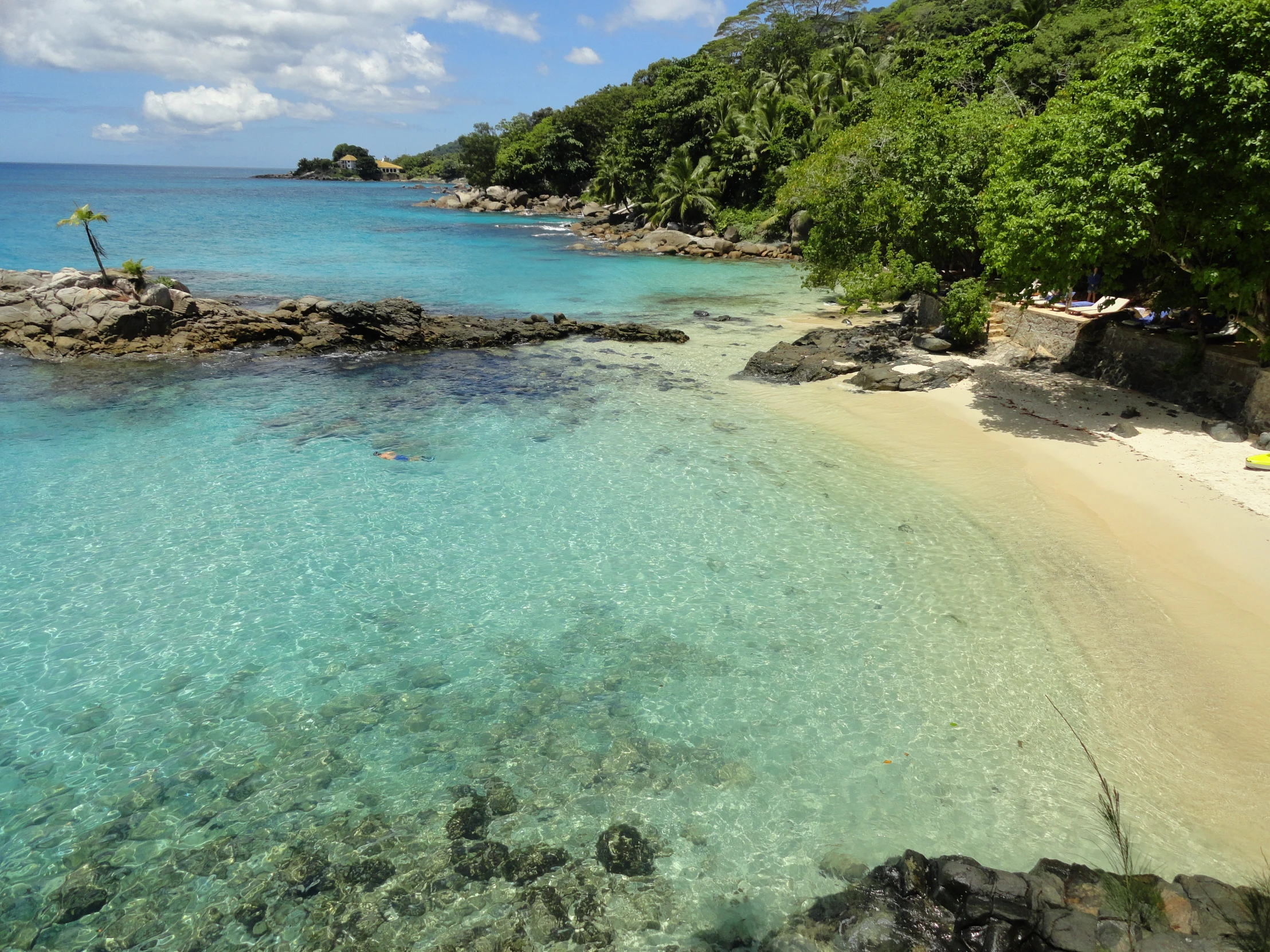 a beach sits near the shore surrounded by wooded area