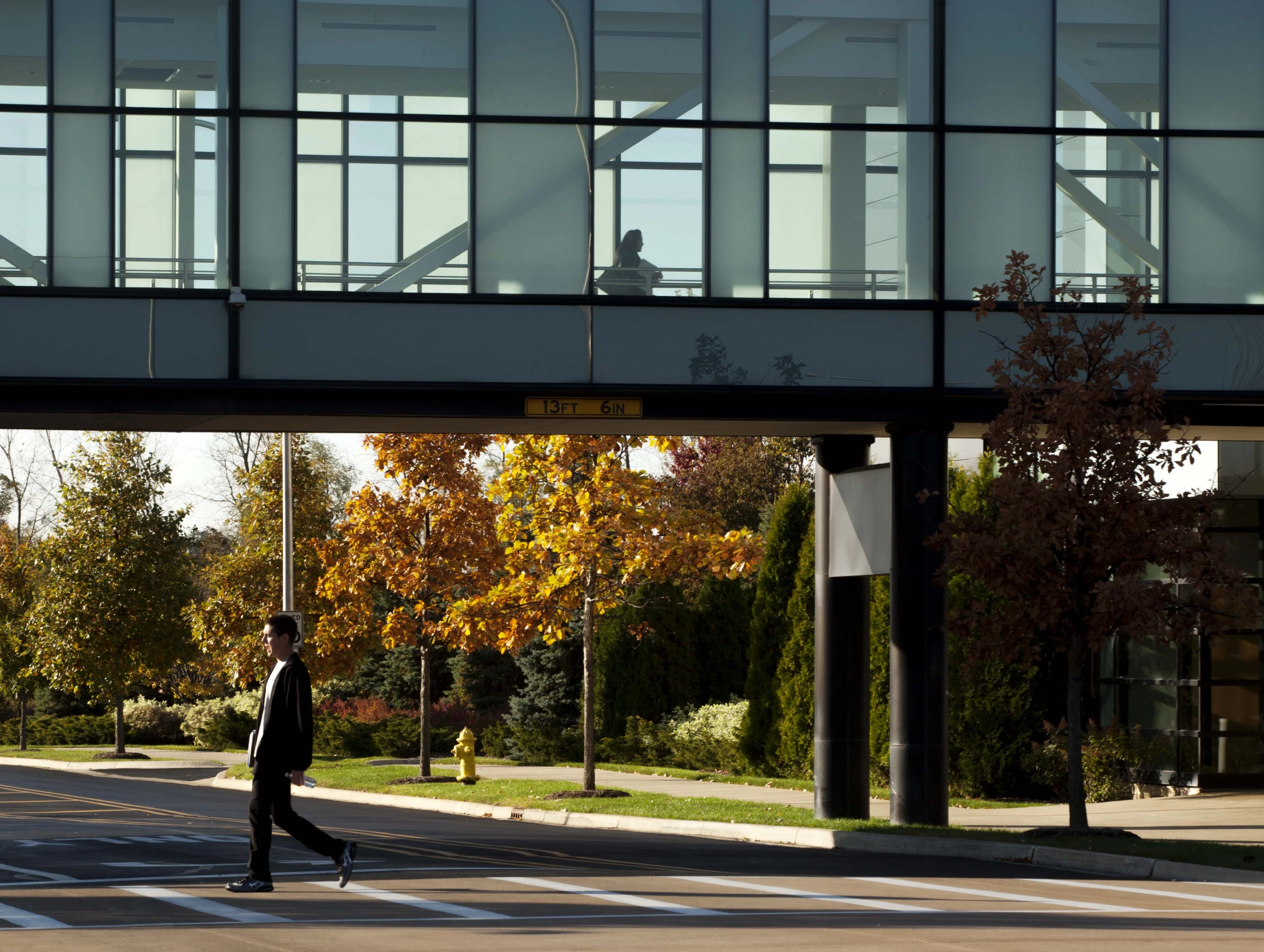 man crossing the street on a skateboard in the city