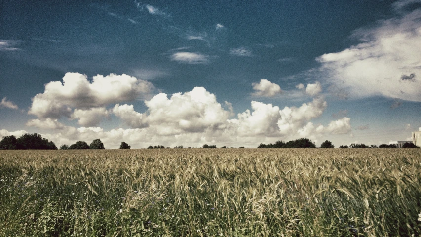 a field of grass is covered with fluffy clouds