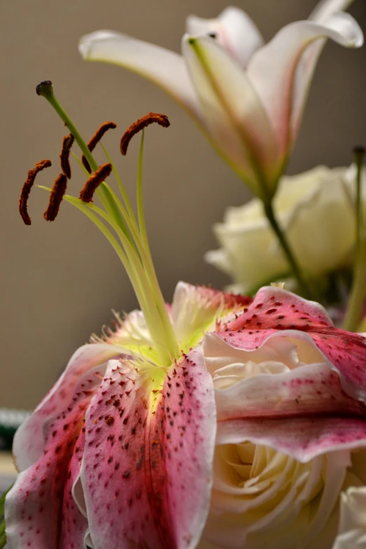 a bunch of white and pink flowers in a vase