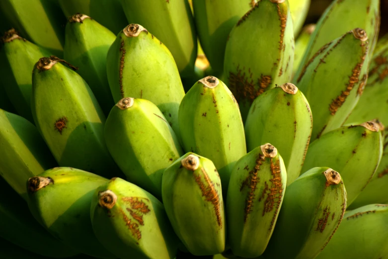 the bananas have already been cut into small pieces