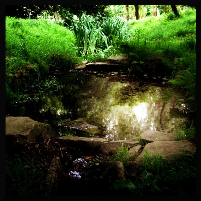 a stream of water near some rocks and grass