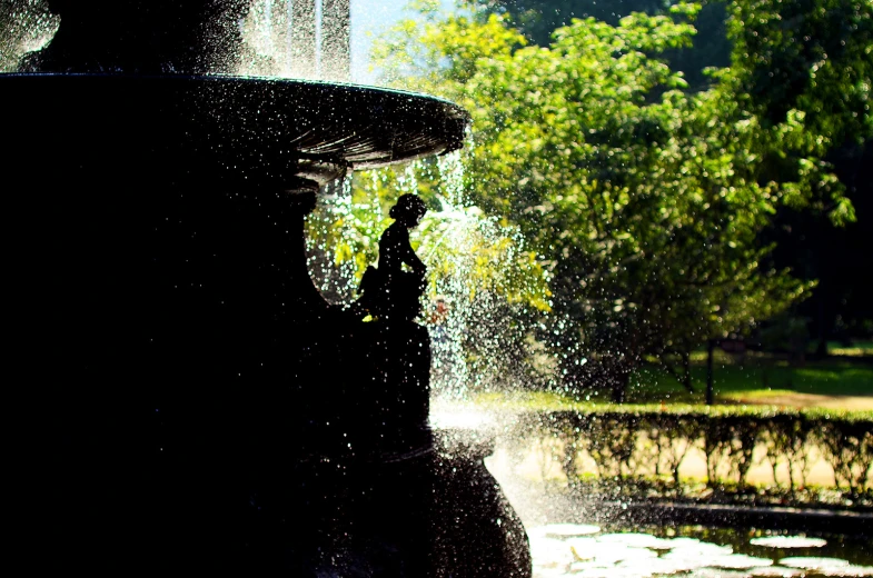 the bird is standing on the fountain's edge