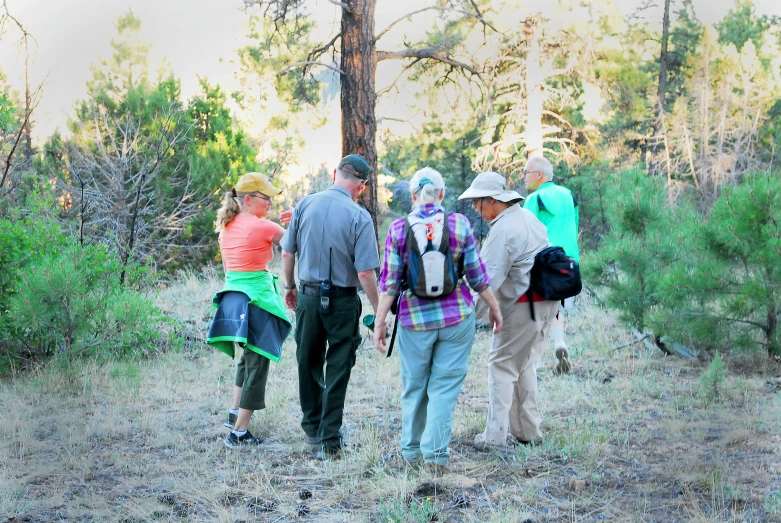 a group of people hiking in the forest