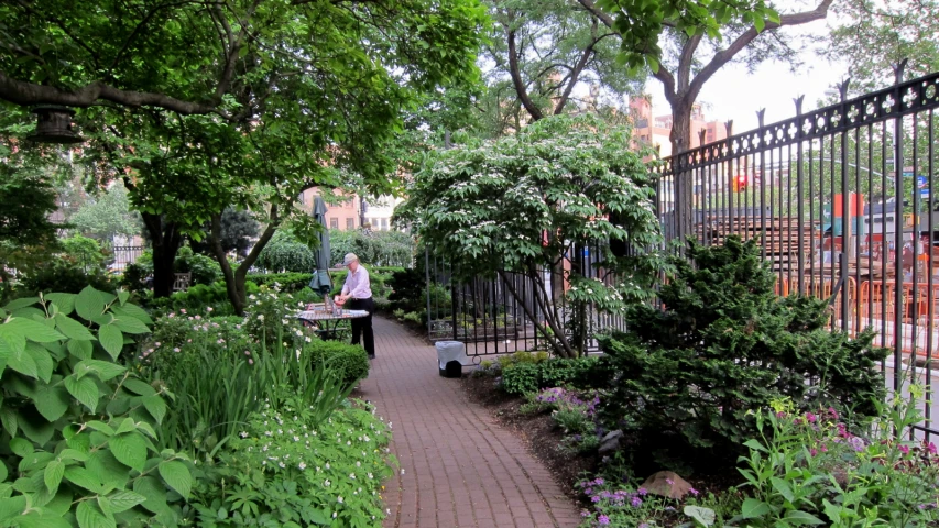 woman working at laptop on patio surrounded by greenery