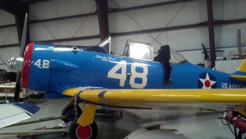 blue and yellow airplane in hangar with small black dog