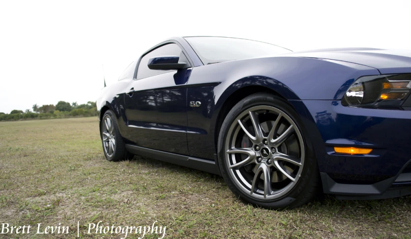 the back of a blue car sitting in grass