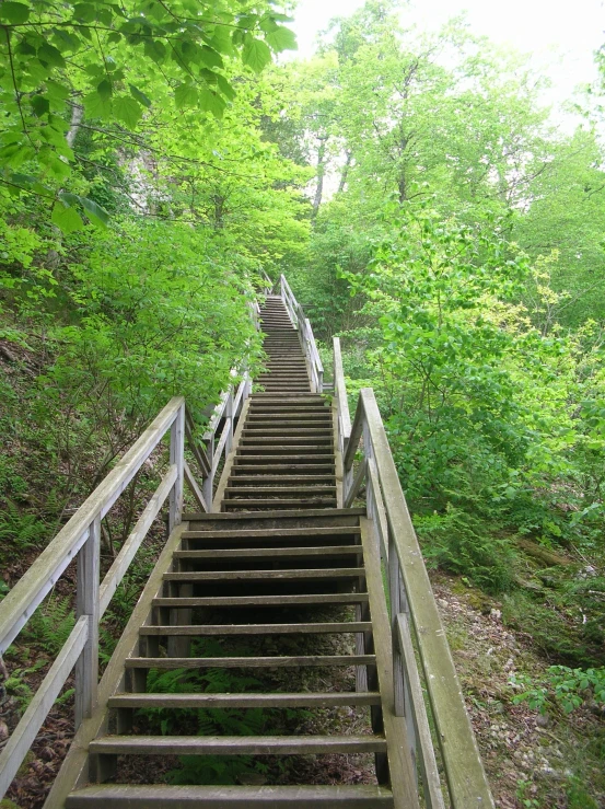 a set of stairs going up the side of a hill