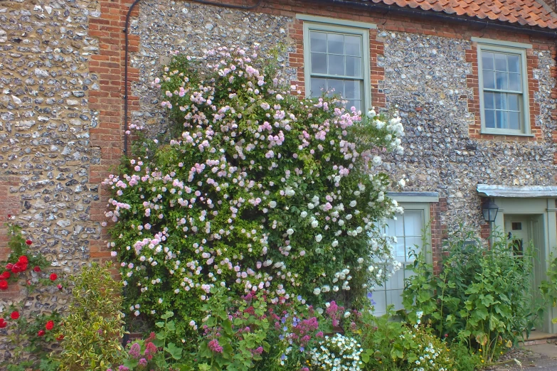 a home is in an outdoor setting next to a green door