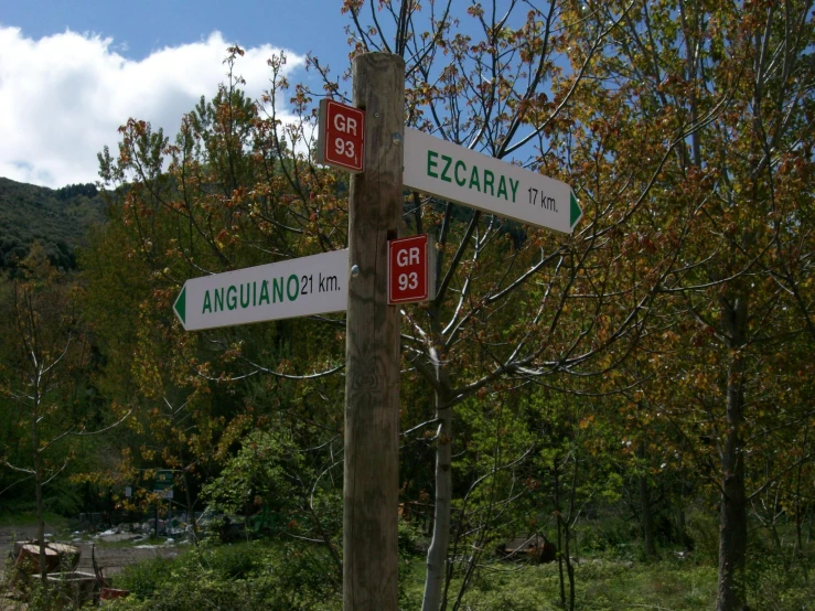 the street sign shows a street name, number and direction