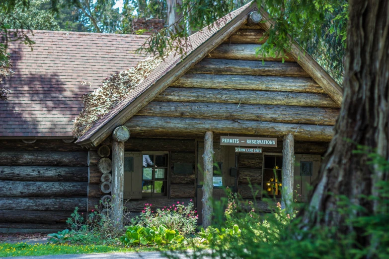 a wooden cabin sitting under a forest filled with lots of trees