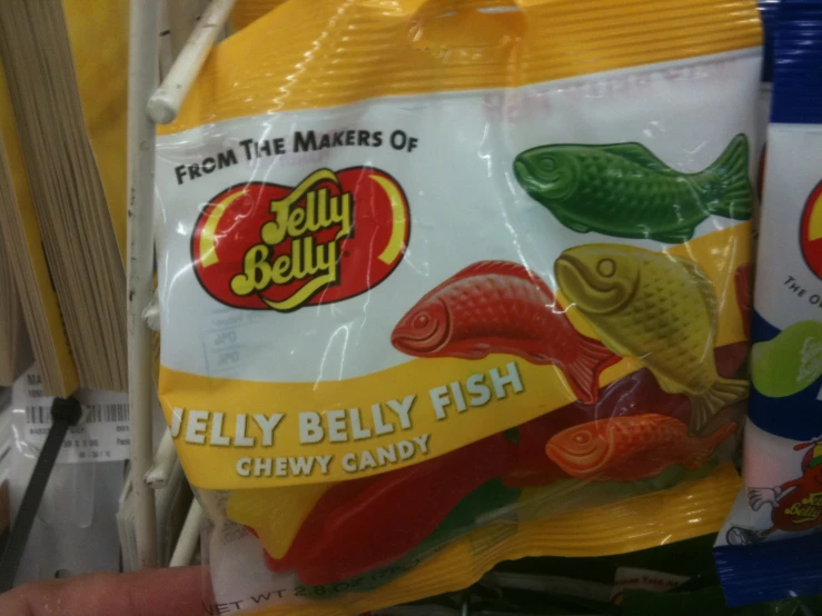 jelly belly fish chewy candy, from the maker's of jelly belly fish