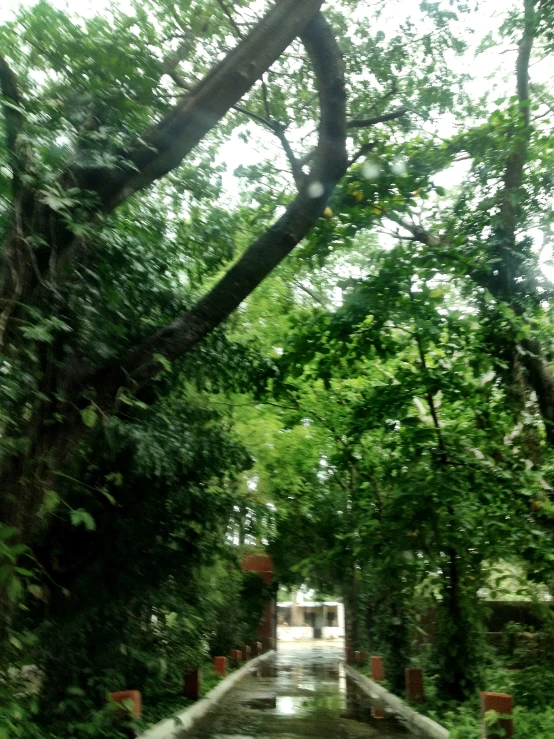 a wooden bench sitting under trees next to a park