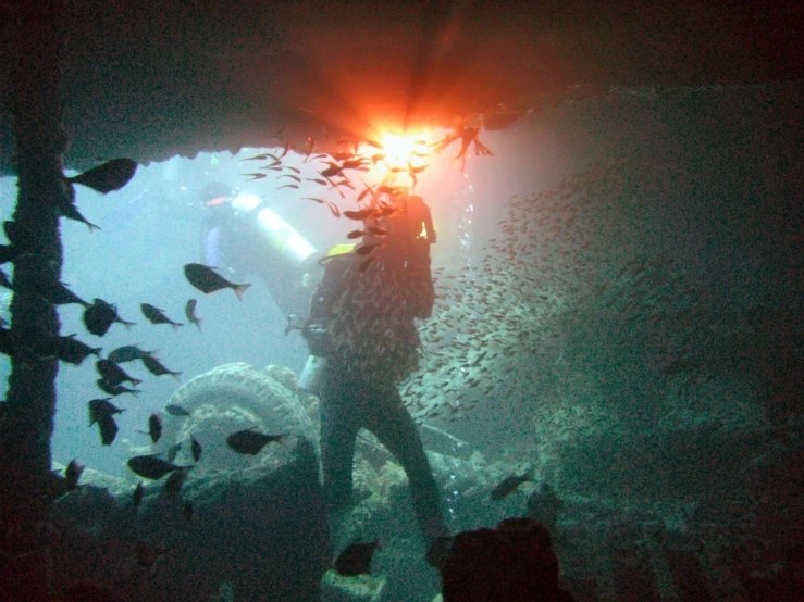 a person standing under an underwater light and surrounded by many fish