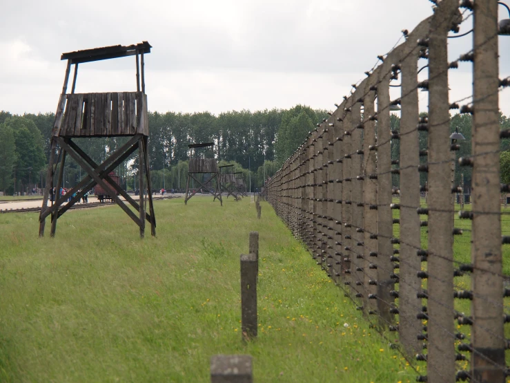 a tall fence and a big chair in the grass