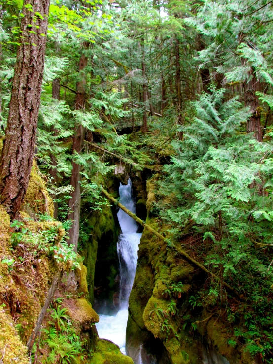a creek runs through the rocks in the woods